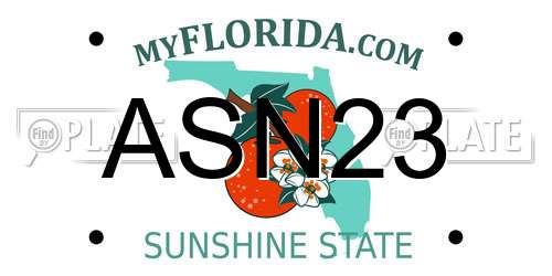 ASN23 Florida License Plate