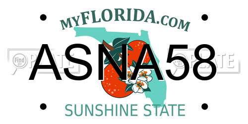 ASNA58 Florida License Plate