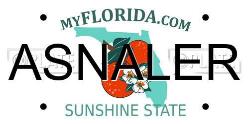 ASNALER Florida License Plate