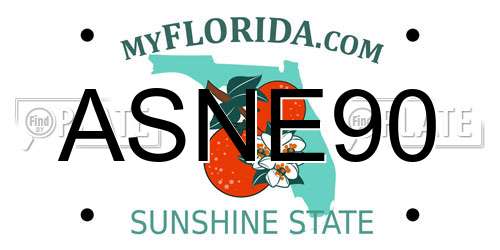 ASNE90 Florida License Plate