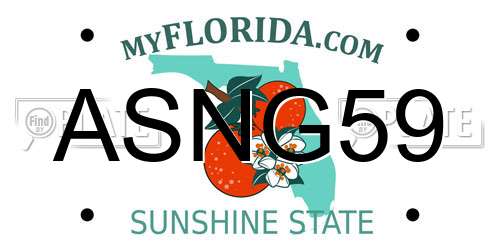 ASNG59 Florida License Plate