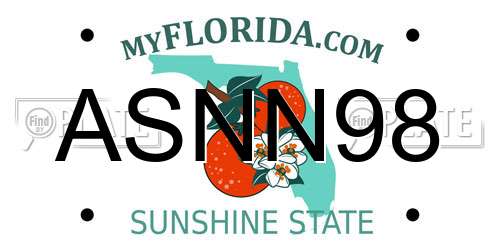 ASNN98 Florida License Plate