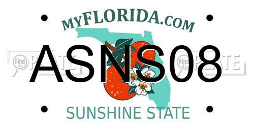 ASNS08 Florida License Plate
