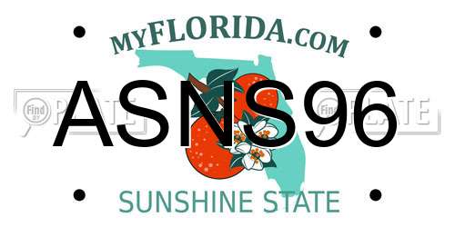 ASNS96 Florida License Plate