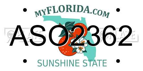 ASO2362 Florida License Plate