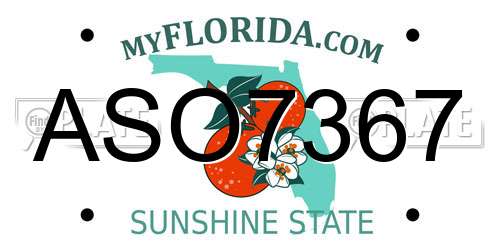 ASO7367 Florida License Plate