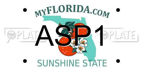 ASP1 Florida License Plate