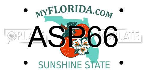 ASP66 Florida License Plate