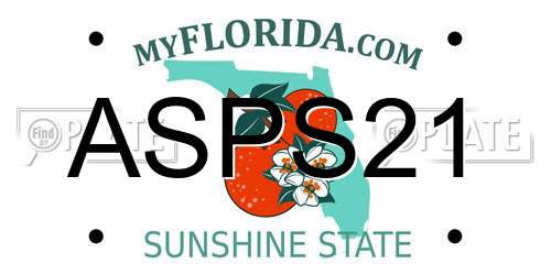 ASPS21 Florida License Plate