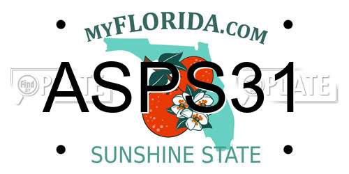 ASPS31 Florida License Plate