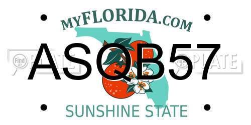 ASQB57 Florida License Plate