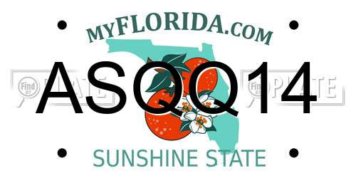 ASQQ14 Florida License Plate