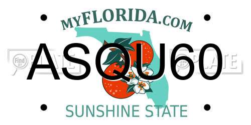 ASQU60 Florida License Plate
