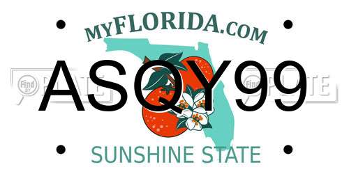 ASQY99 Florida License Plate