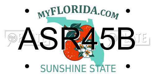 ASR45B Florida License Plate