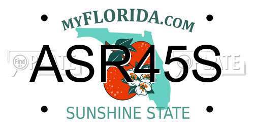 ASR45S Florida License Plate