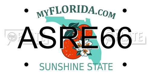 ASRE66 Florida License Plate