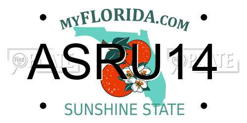 ASRU14 Florida License Plate