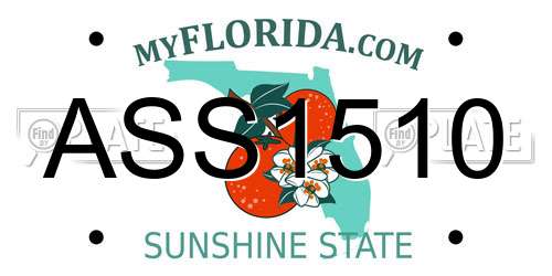 ASS1510 Florida License Plate