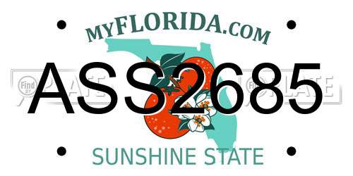 ASS2685 Florida License Plate