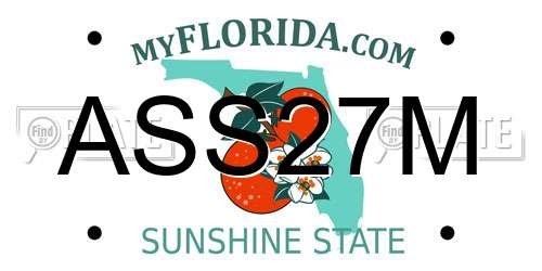 ASS27M Florida License Plate