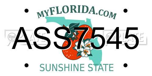 ASS7545 Florida License Plate