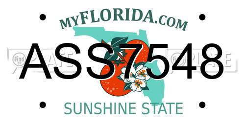ASS7548 Florida License Plate