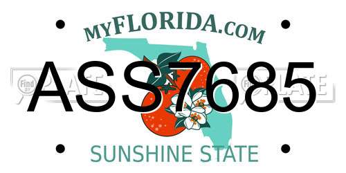 ASS7685 Florida License Plate