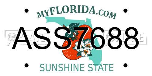 ASS7688 Florida License Plate