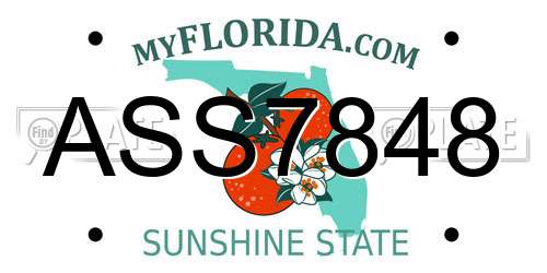 ASS7848 Florida License Plate
