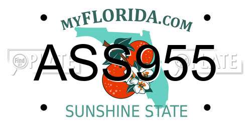 ASS955 Florida License Plate