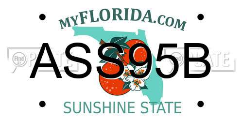 ASS95B Florida License Plate