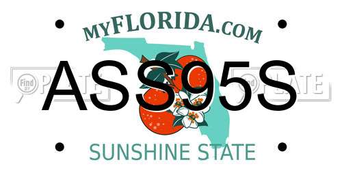ASS95S Florida License Plate