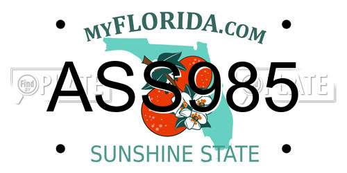 ASS985 Florida License Plate