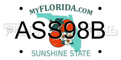 ASS98B Florida License Plate