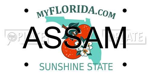 ASSAM Florida License Plate