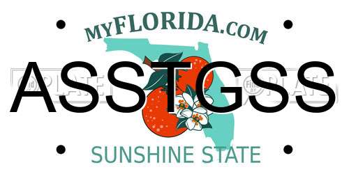 ASSTGSS Florida License Plate