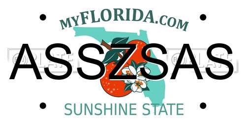 ASSZSAS Florida License Plate