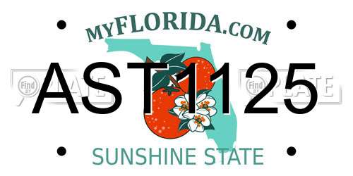 AST1125 Florida License Plate