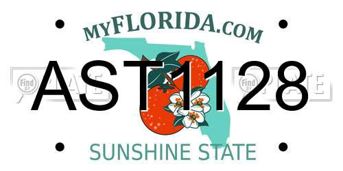 AST1128 Florida License Plate