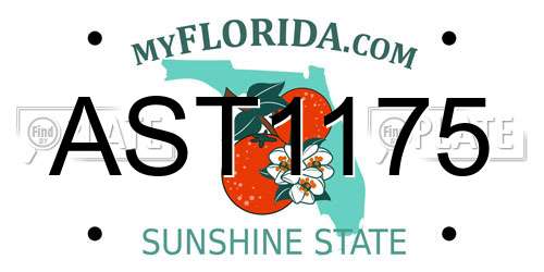 AST1175 Florida License Plate