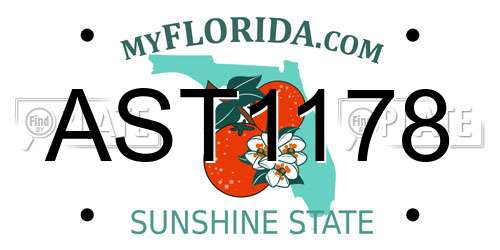 AST1178 Florida License Plate