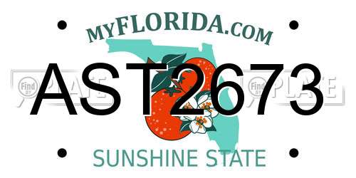 AST2673 Florida License Plate