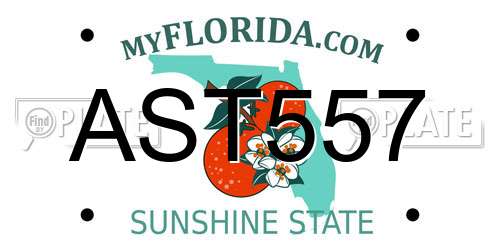 AST557 Florida License Plate
