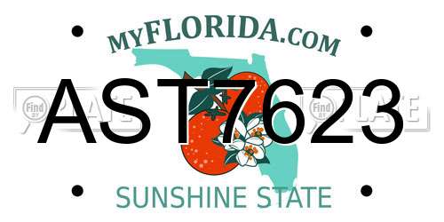 AST7623 Florida License Plate