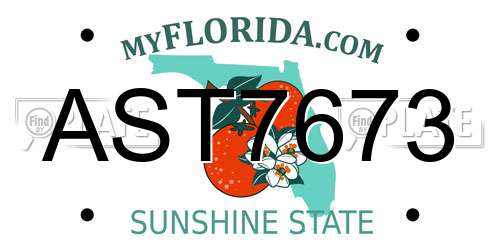 AST7673 Florida License Plate