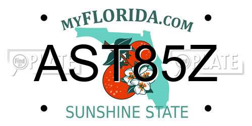AST85Z Florida License Plate