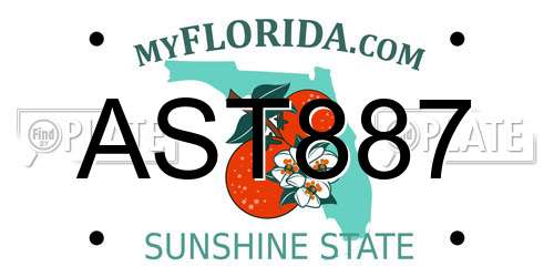 AST887 Florida License Plate