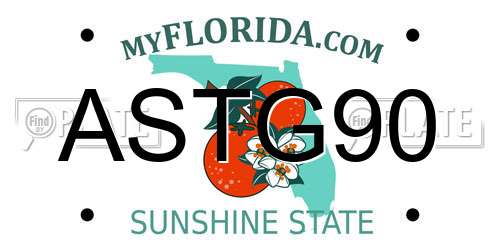 ASTG90 Florida License Plate