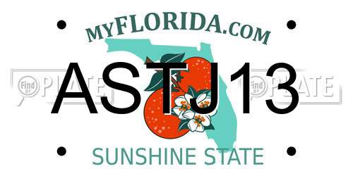 ASTJ13 Florida License Plate